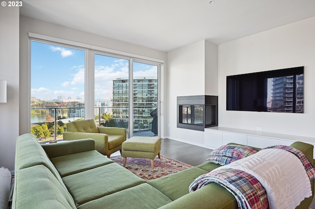 living room featuring a water view and dark wood-type flooring