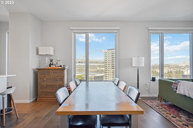 dining room with a healthy amount of sunlight and dark hardwood / wood-style floors