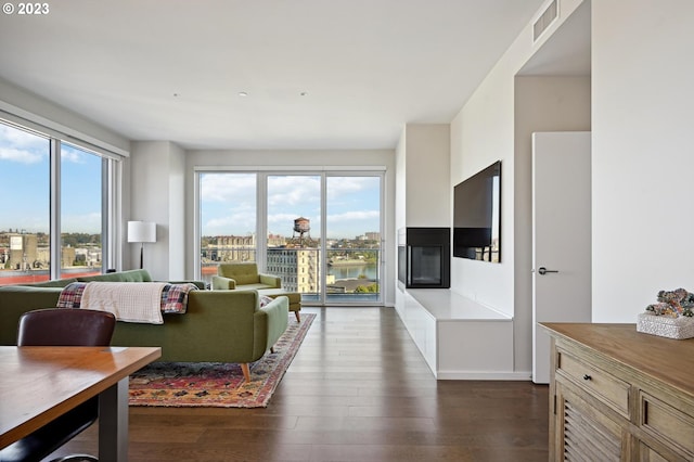 living room featuring dark hardwood / wood-style flooring and plenty of natural light