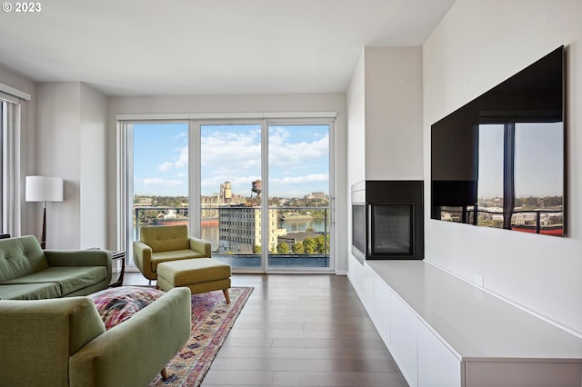 living room featuring a water view and hardwood / wood-style flooring