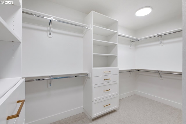 spacious closet featuring light colored carpet