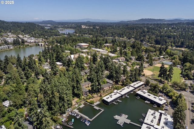 420 S State St, Lake Oswego, OR 97034 - drone / aerial view of a forest and a water and mountain view