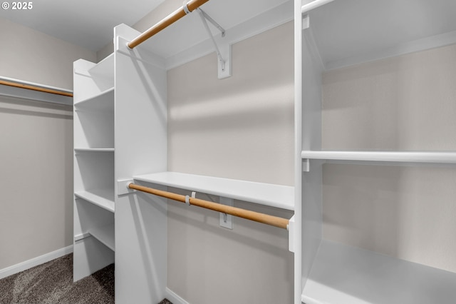 3707 NE Minnehaha St, Vancouver, WA 98661 - walk in closet with carpet