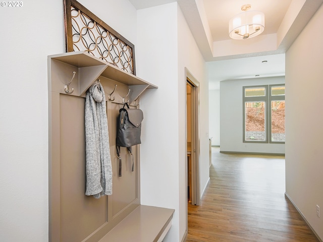 mudroom featuring light hardwood / wood-style flooring and a tray ceiling