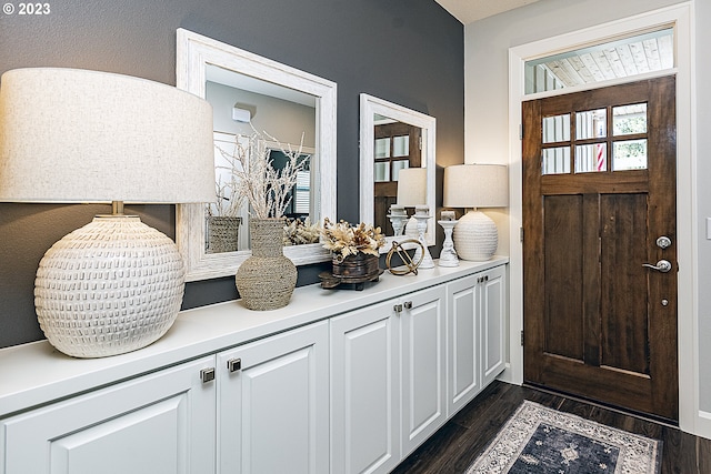 entryway with dark wood-type flooring