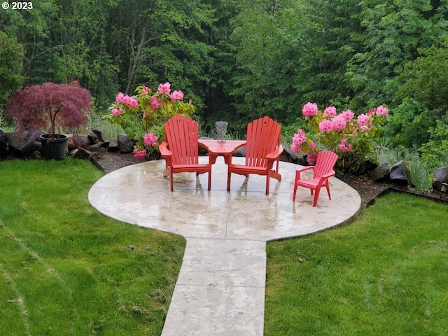 view of yard with a patio area