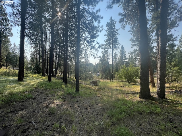 Bonanza, Sumpter OR, 97877 land for sale