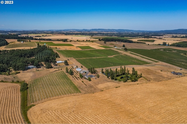 bird's eye view with a rural view