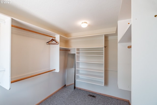 spacious closet featuring light colored carpet