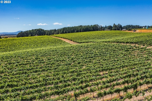 exterior space with a rural view