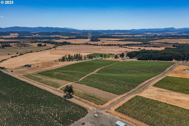 birds eye view of property featuring a rural view and a mountain view