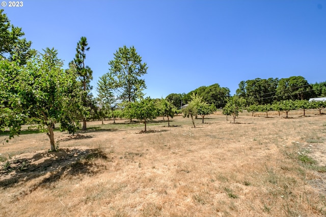 view of local wilderness with a rural view