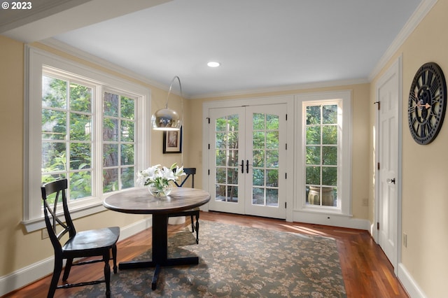 dining room featuring a healthy amount of sunlight, french doors, and dark hardwood / wood-style flooring