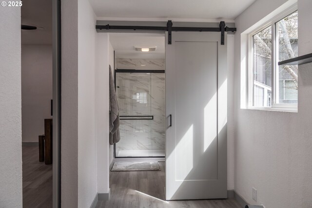 corridor featuring a barn door, wood finished floors, and a wealth of natural light