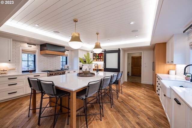 33723 Van Duyn Rd, Eugene, OR 97408 - kitchen with custom range hood, a raised ceiling, a sink, tasteful backsplash, and light wood-type flooring
