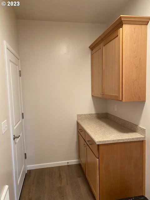 223 N Johnson St, Prairie City, OR 97869 - kitchen with dark wood-type flooring and light countertops