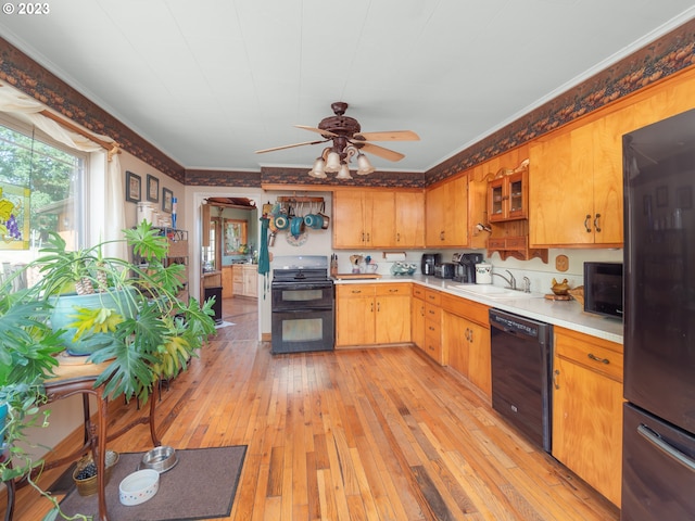 kitchen with ceiling fan, ornamental molding, black appliances, light wood-type flooring, and sink