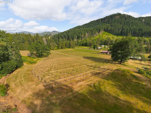 property view of mountains with a rural view