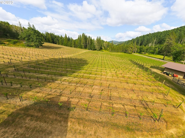 view of yard with a rural view