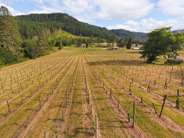 property view of mountains with a rural view