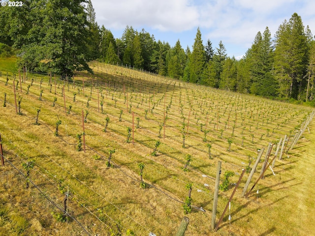 view of yard with a rural view