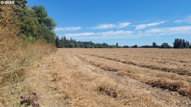 view of local wilderness with a rural view