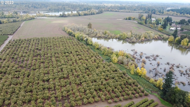 drone / aerial view featuring a rural view and a water view