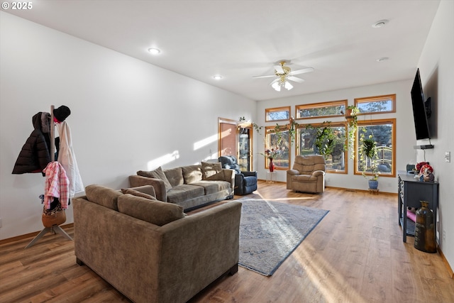 living room featuring ceiling fan and wood-type flooring