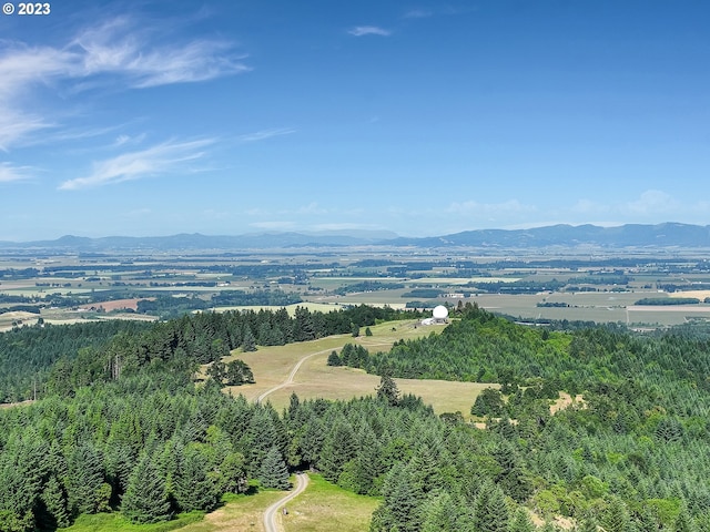 drone / aerial view with a mountain view