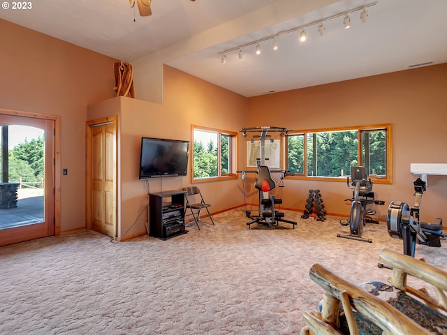 exercise room with track lighting, ceiling fan, a wealth of natural light, and light colored carpet