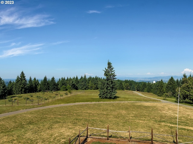 view of yard featuring a rural view