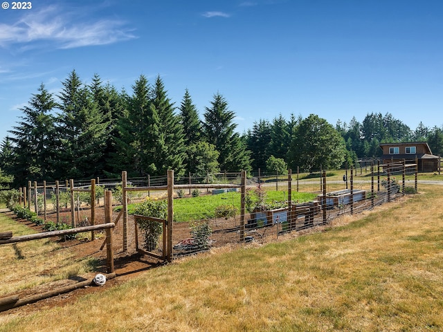 view of yard with a rural view