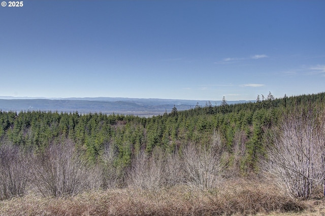 water view with a forest view and a mountain view