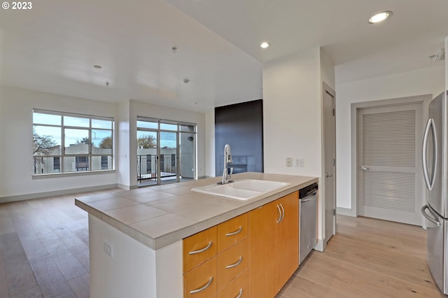 kitchen featuring plenty of natural light, light hardwood / wood-style floors, appliances with stainless steel finishes, and sink