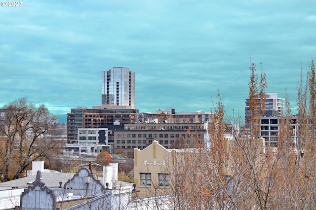 view of property's view of city