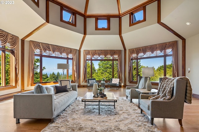 living room with a high ceiling and light hardwood / wood-style flooring