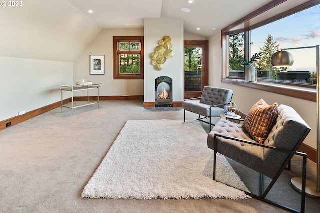 interior space with lofted ceiling