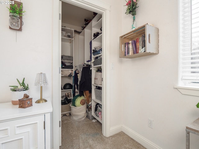 walk in closet with carpet floors