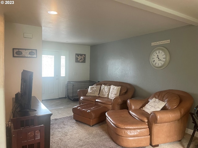 living room with light colored carpet