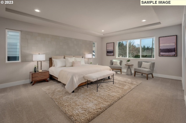 carpeted bedroom with a raised ceiling