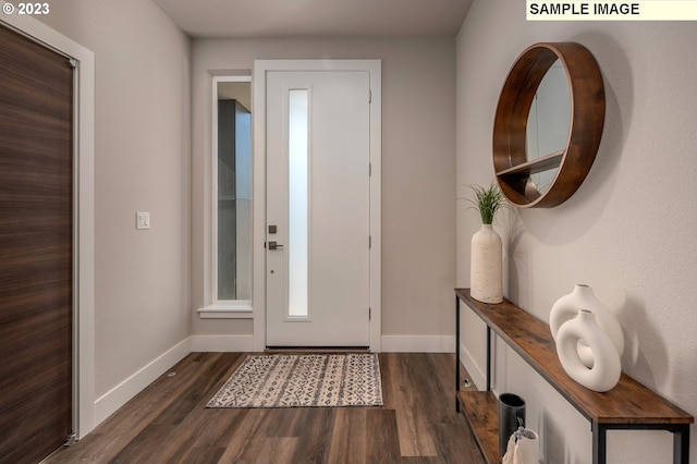 foyer entrance with dark hardwood / wood-style flooring