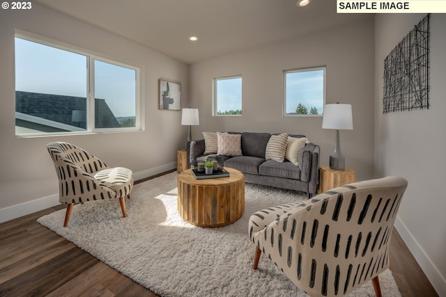 living room with hardwood / wood-style floors