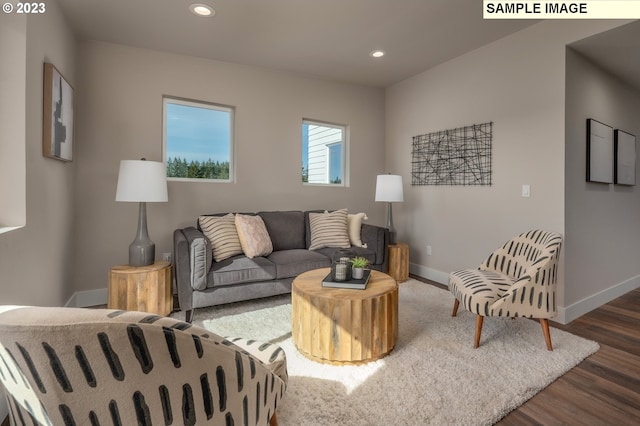 living room with dark wood-type flooring