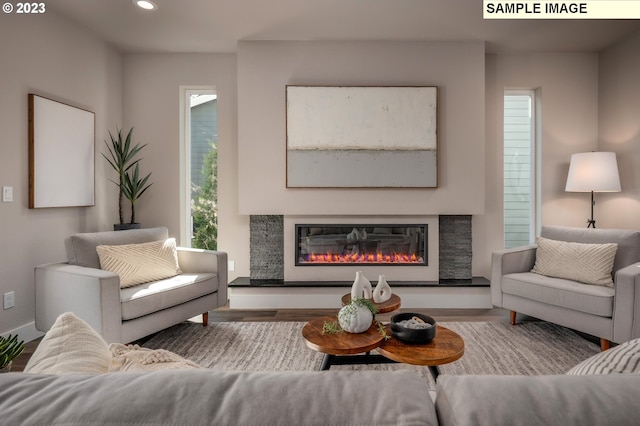 living room with hardwood / wood-style floors