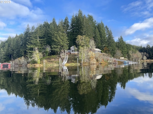 view of water feature featuring a forest view