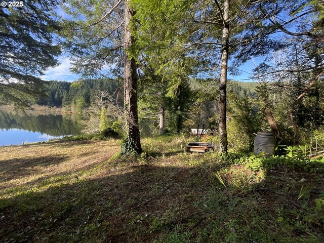 view of yard with a wooded view and a water view