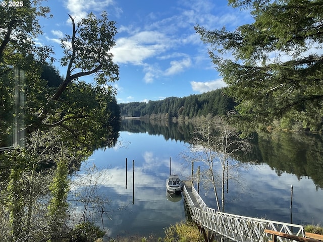 view of dock with a water view and a wooded view