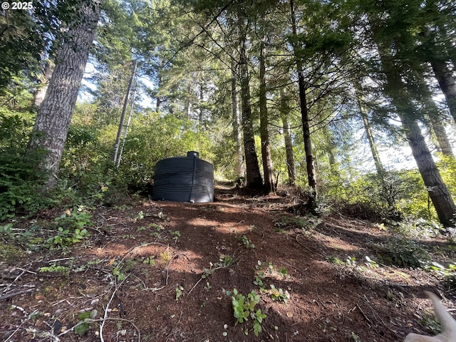 view of yard featuring a view of trees