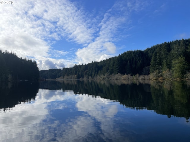 water view featuring a view of trees