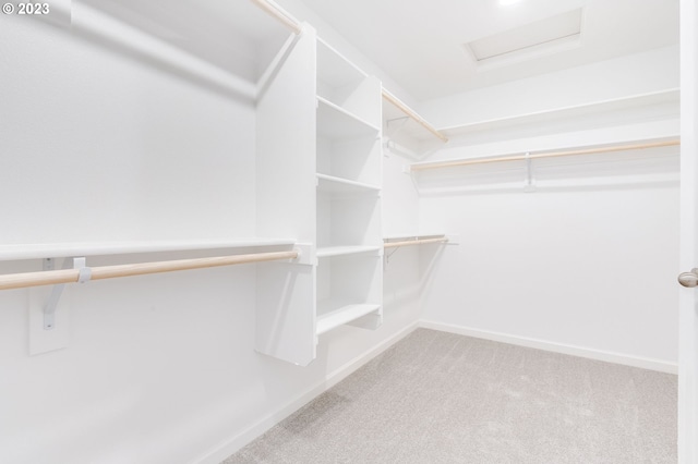 walk in closet with carpet floors